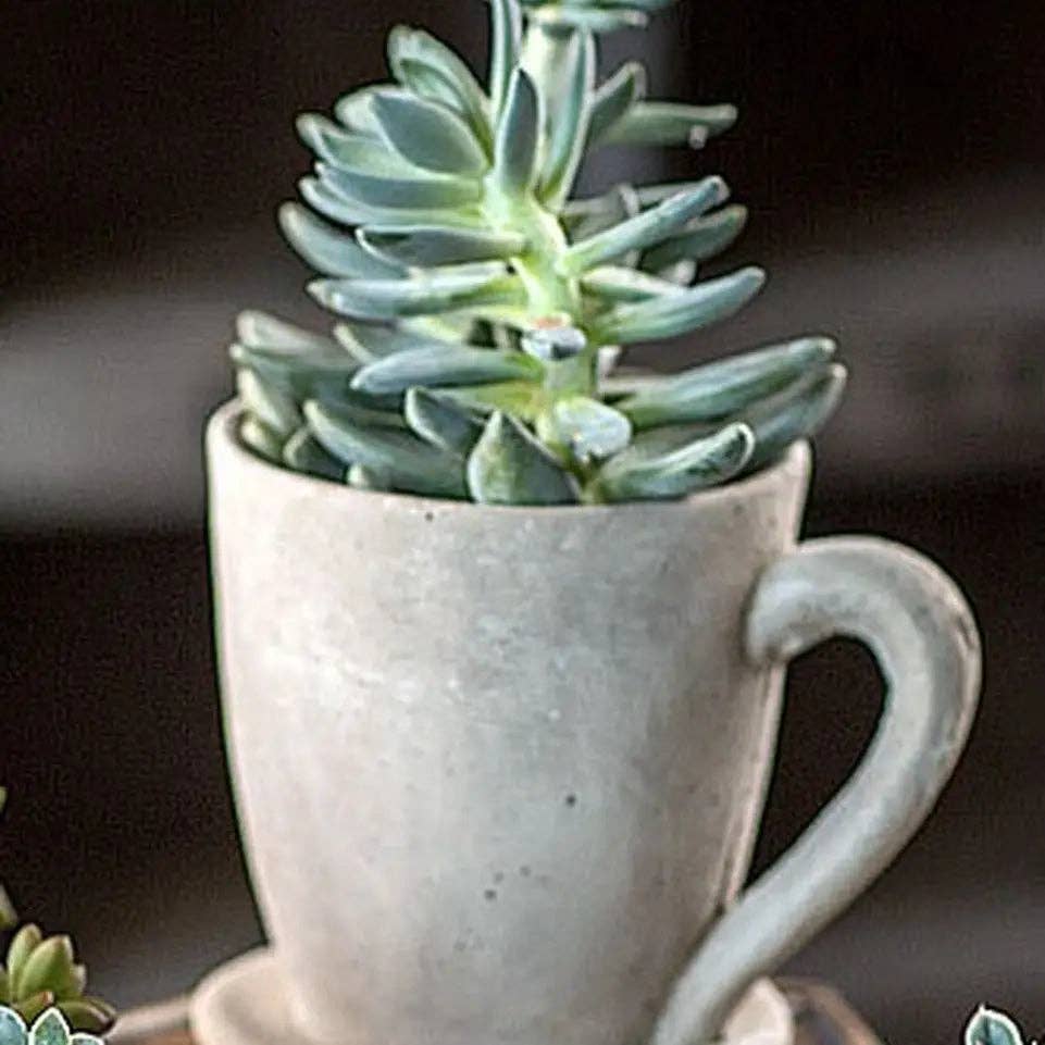 Cement Tea Mug Planter - Image 2