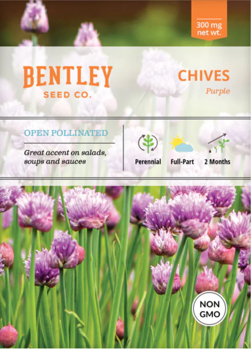 Chive - Herb Seeds - Image 2