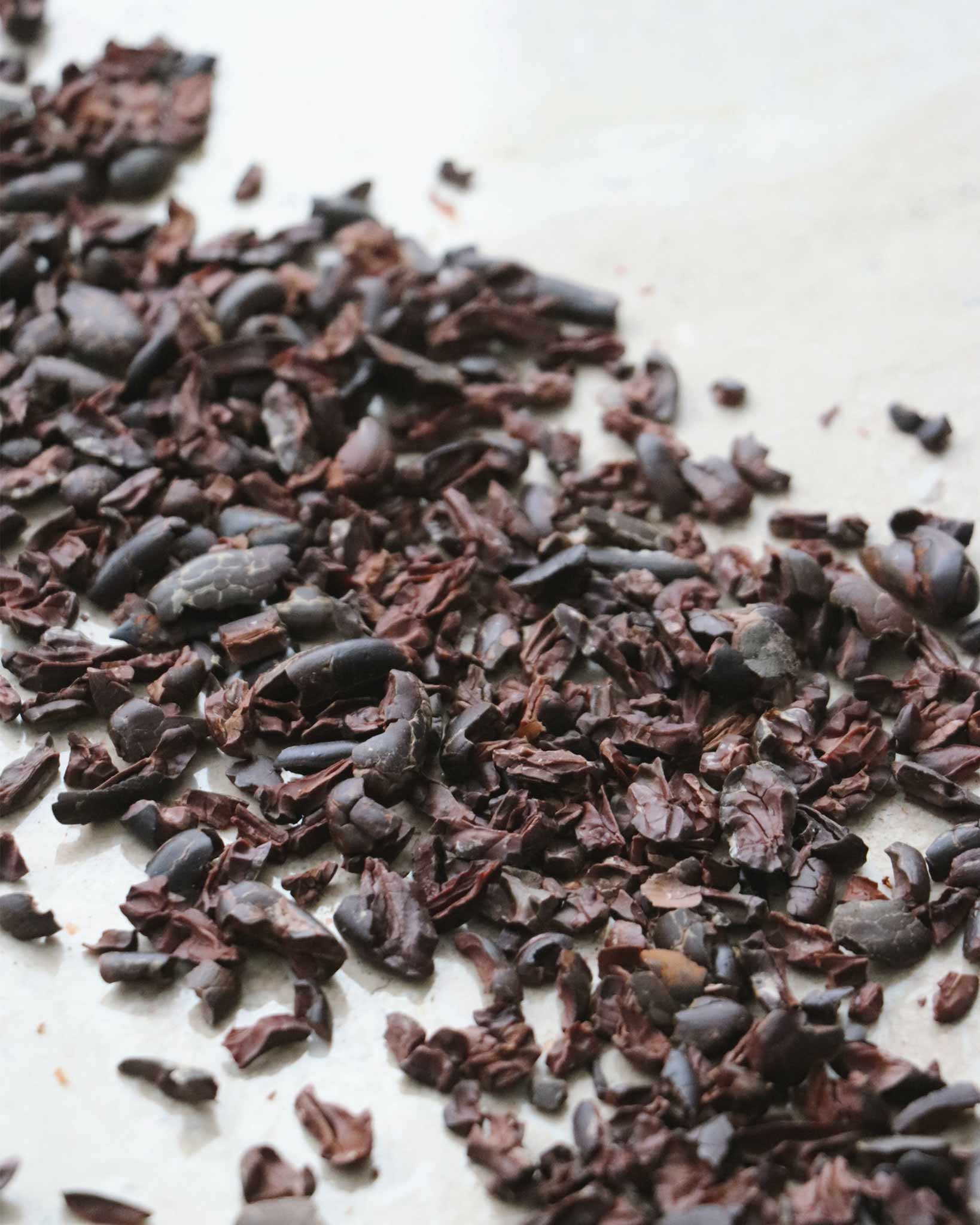 Chocolate Cacao Nib Cookies - Image 3