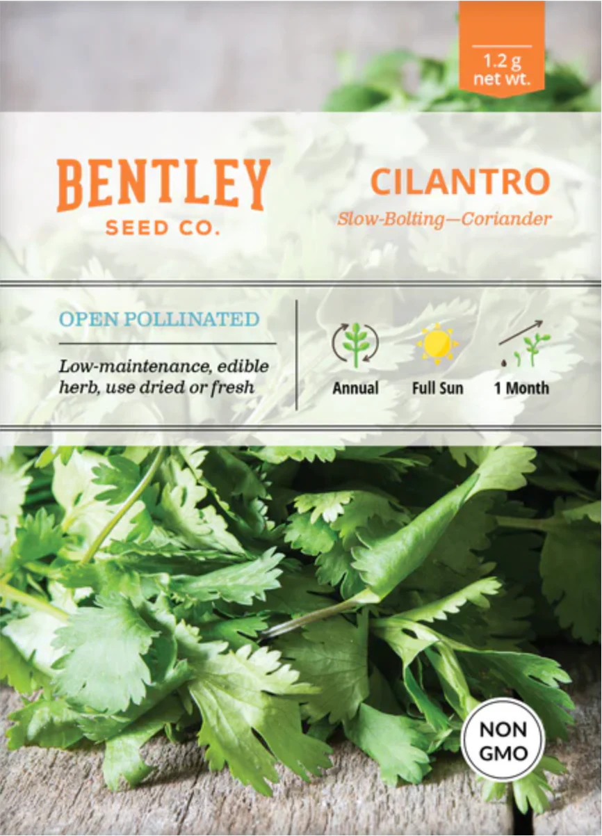 Cilantro/Coriander (Slow-Bolt) - Herb Seeds - Image 2