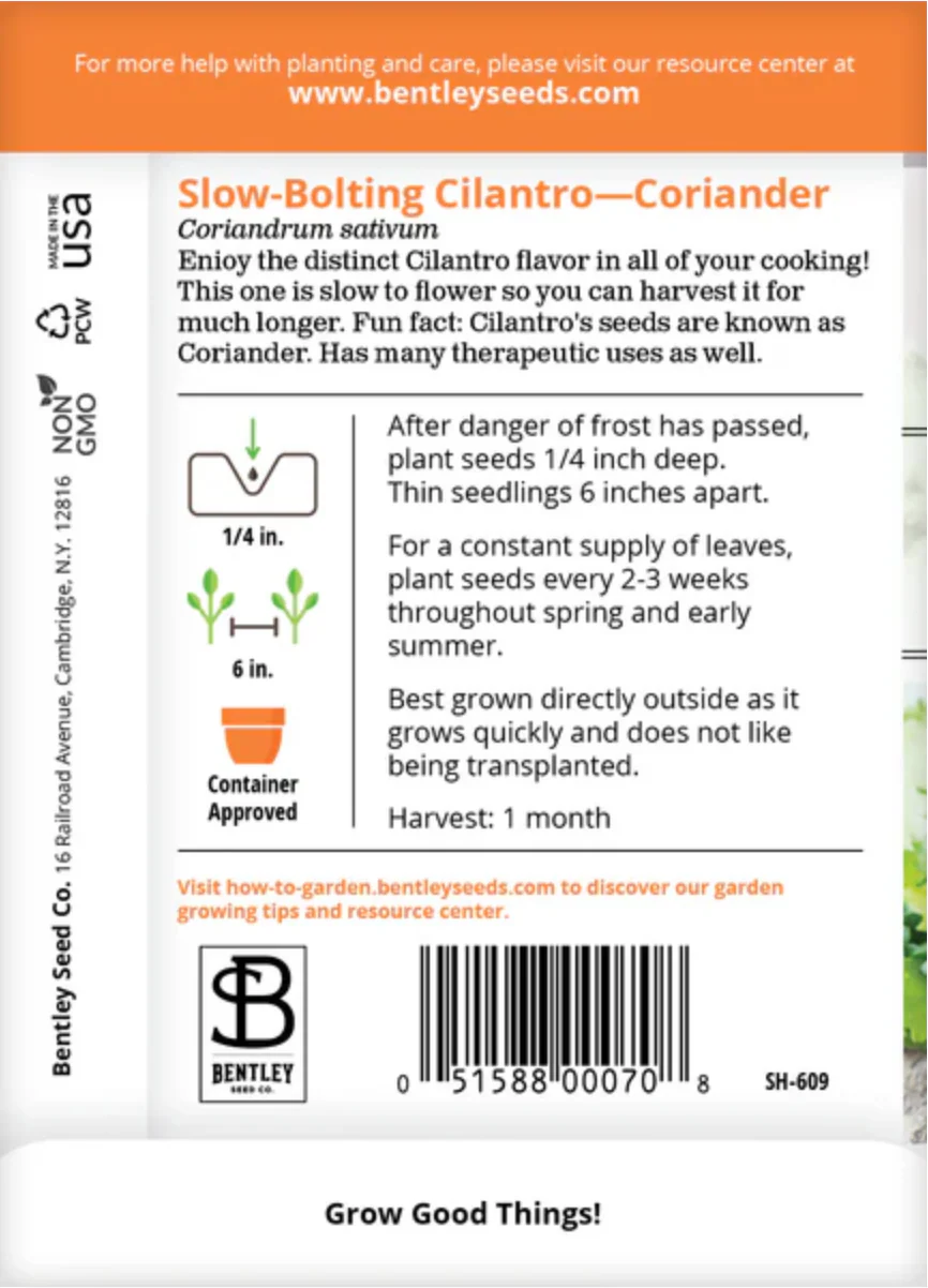 Cilantro/Coriander (Slow-Bolt) - Herb Seeds - Image 3