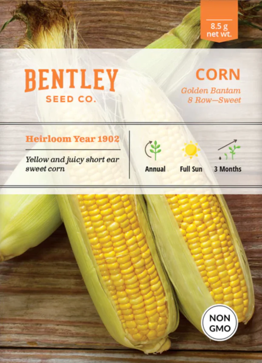 Corn 'Golden Bantam' - Vegetable Seeds - Image 2