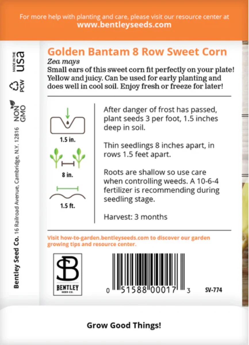 Corn 'Golden Bantam' - Vegetable Seeds - Image 3