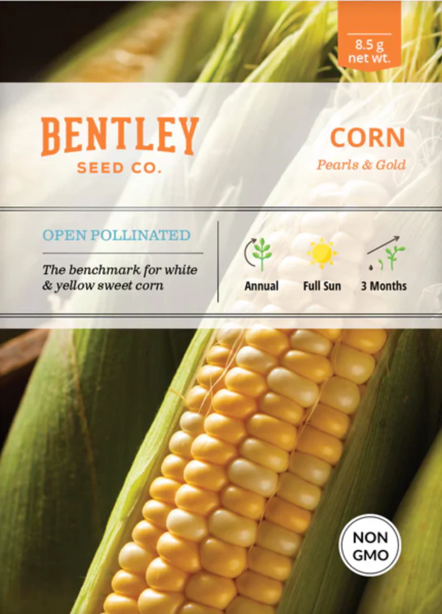 Corn 'Pearls & Gold' - Vegetable Seeds - Image 2