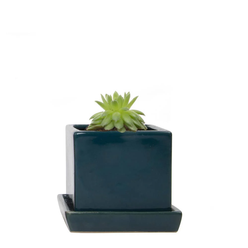 Cube Pot With Saucer And Drainage Hole 60 Plus Colors - Image 11