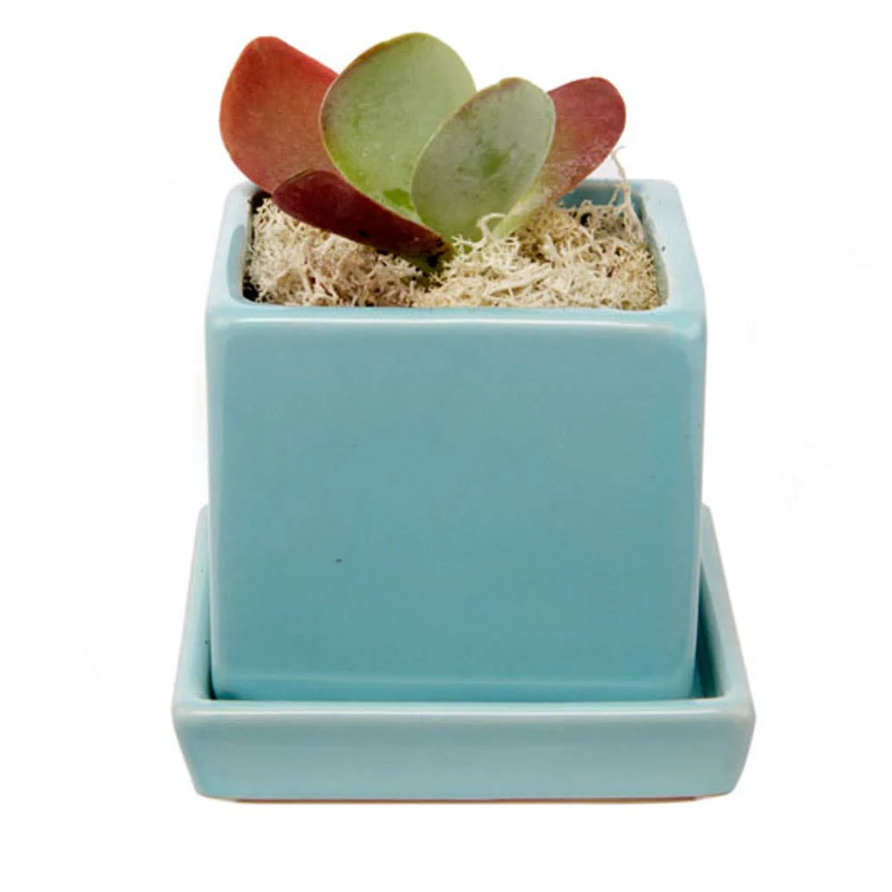 Cube Pot With Saucer And Drainage Hole 60 Plus Colors - Image 13