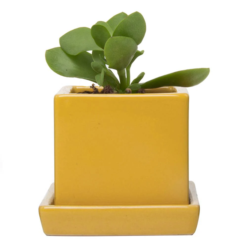 Cube Pot With Saucer And Drainage Hole 60 Plus Colors - Image 15