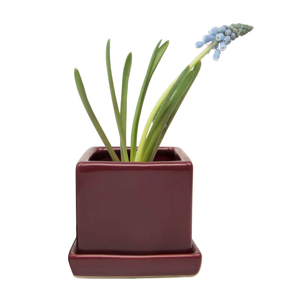 Cube Pot With Saucer And Drainage Hole 60 Plus Colors - Image 22