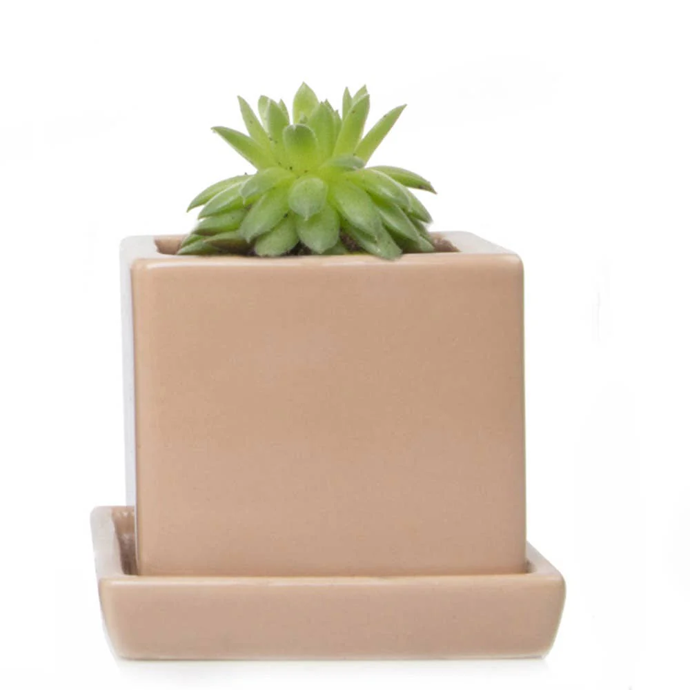 Cube Pot With Saucer And Drainage Hole 60 Plus Colors - Image 23