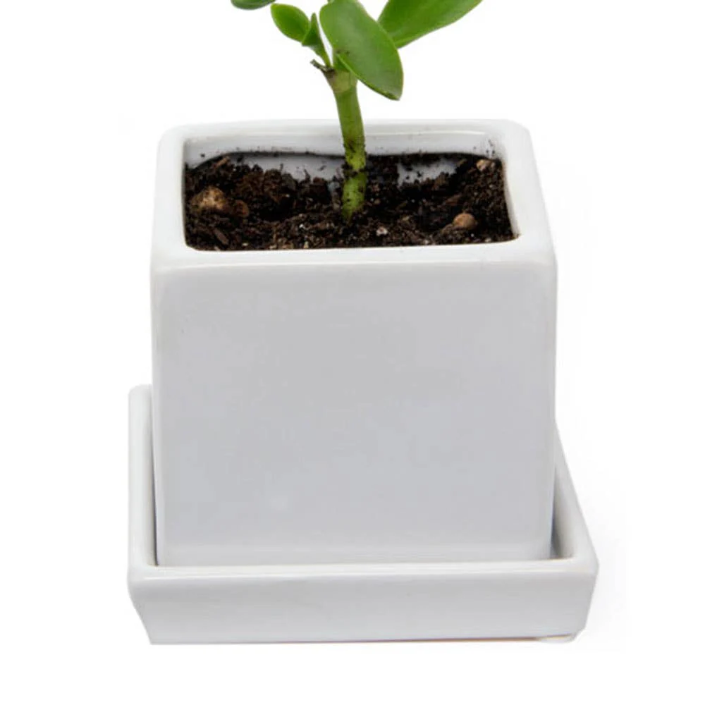 Cube Pot With Saucer And Drainage Hole 60 Plus Colors - Image 26