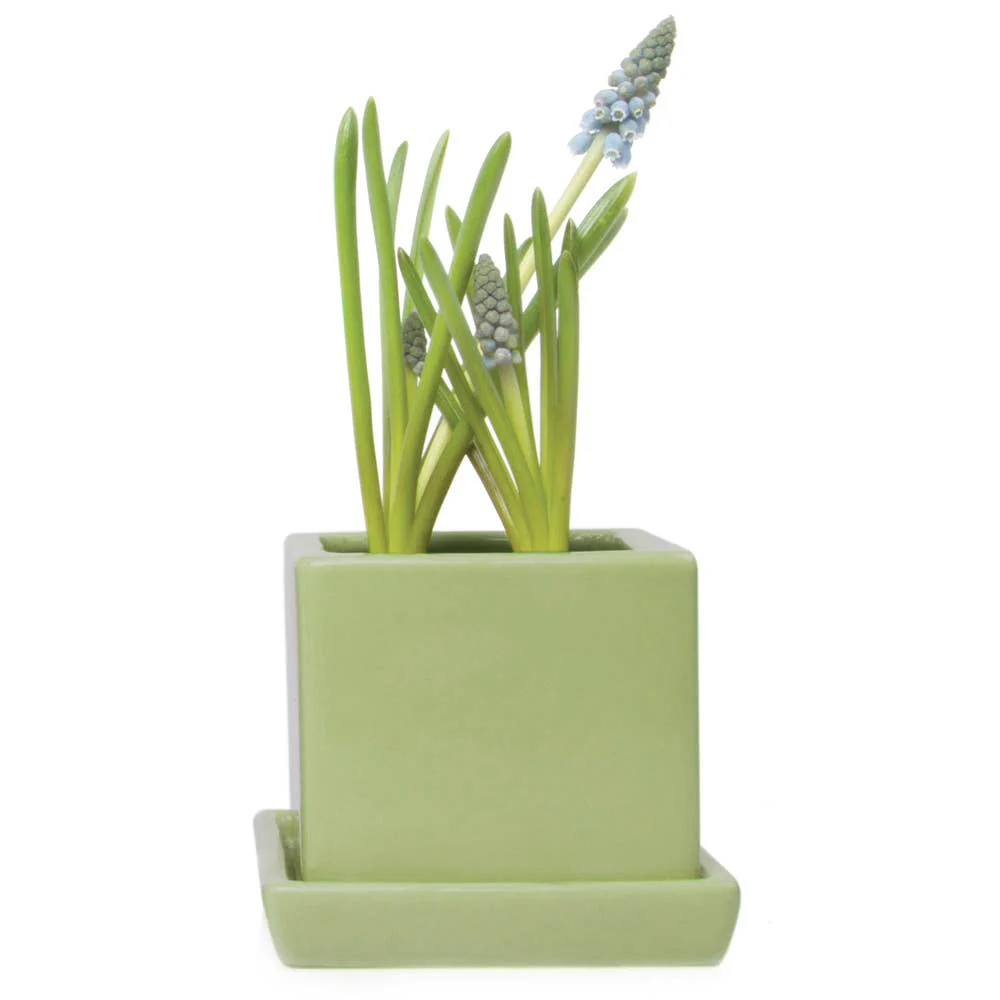 Cube Pot With Saucer And Drainage Hole 60 Plus Colors - Image 3