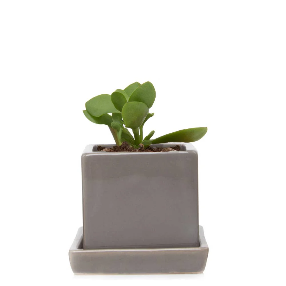 Cube Pot With Saucer And Drainage Hole 60 Plus Colors - Image 4
