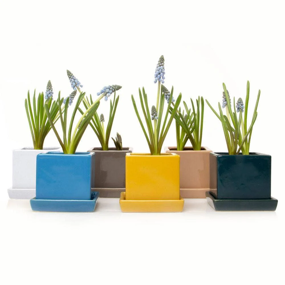 Cube Pot With Saucer And Drainage Hole 60 Plus Colors - Image 8