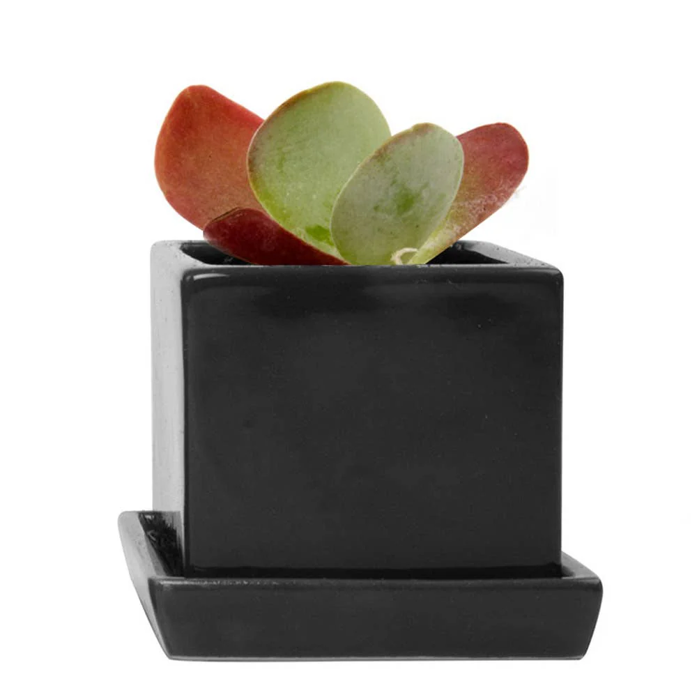 Cube Pot With Saucer And Drainage Hole 60 Plus Colors - Image 9