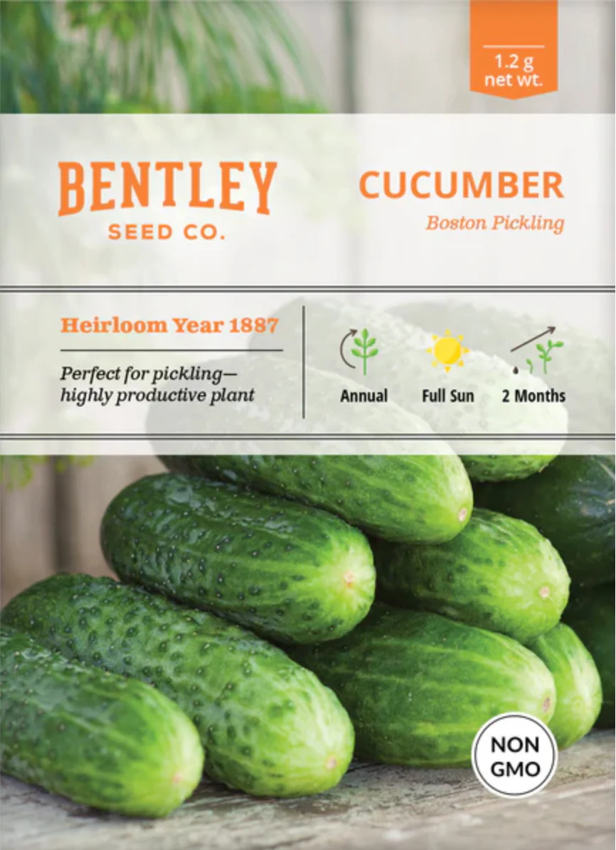 Cucumber 'Boston Pickling' - Vegetable Seeds - Image 2