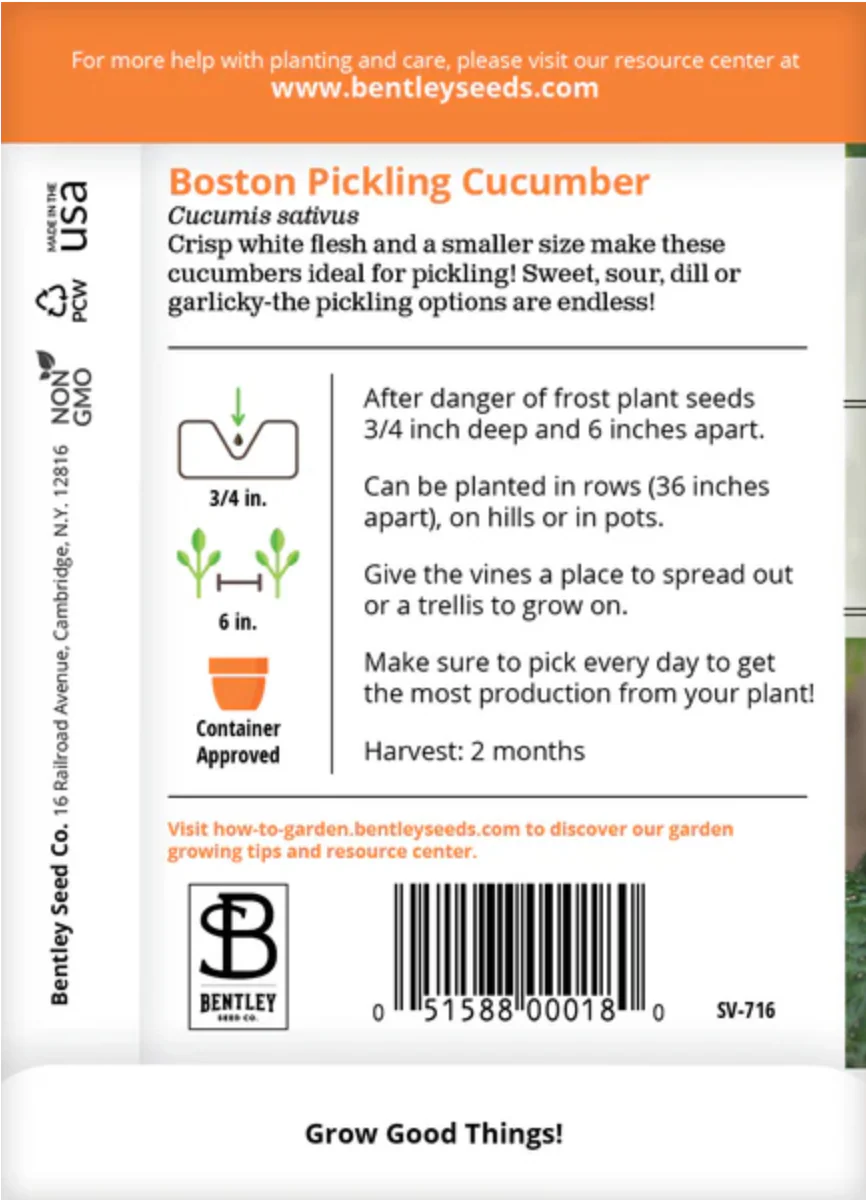 Cucumber 'Boston Pickling' - Vegetable Seeds - Image 3