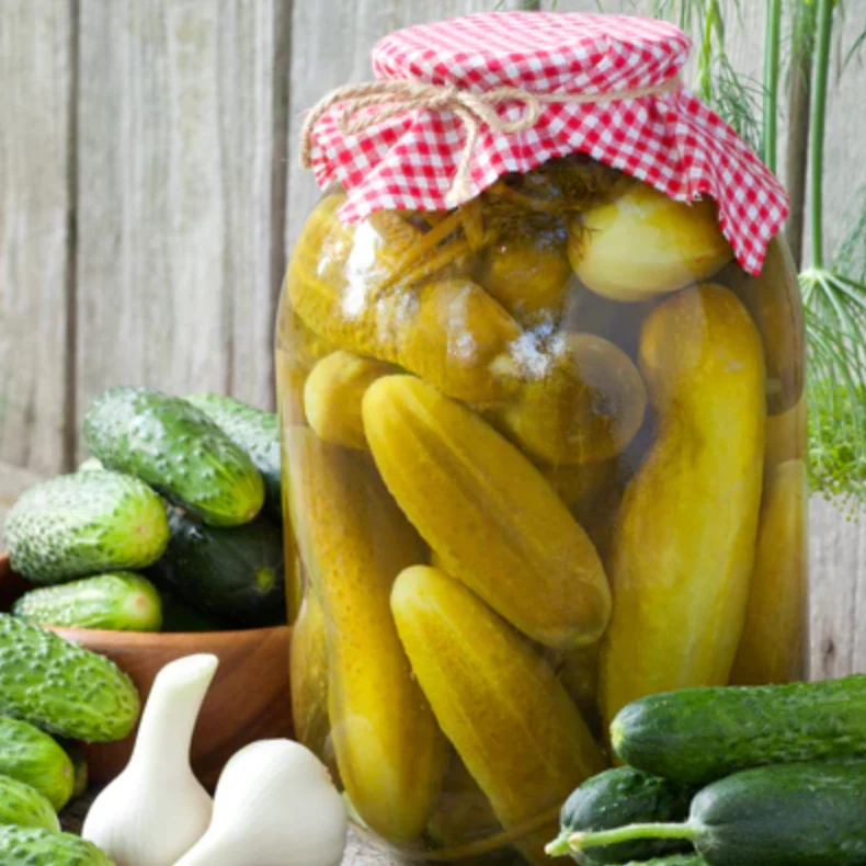 Cucumber 'Boston Pickling' - Vegetable Seeds - Image 4