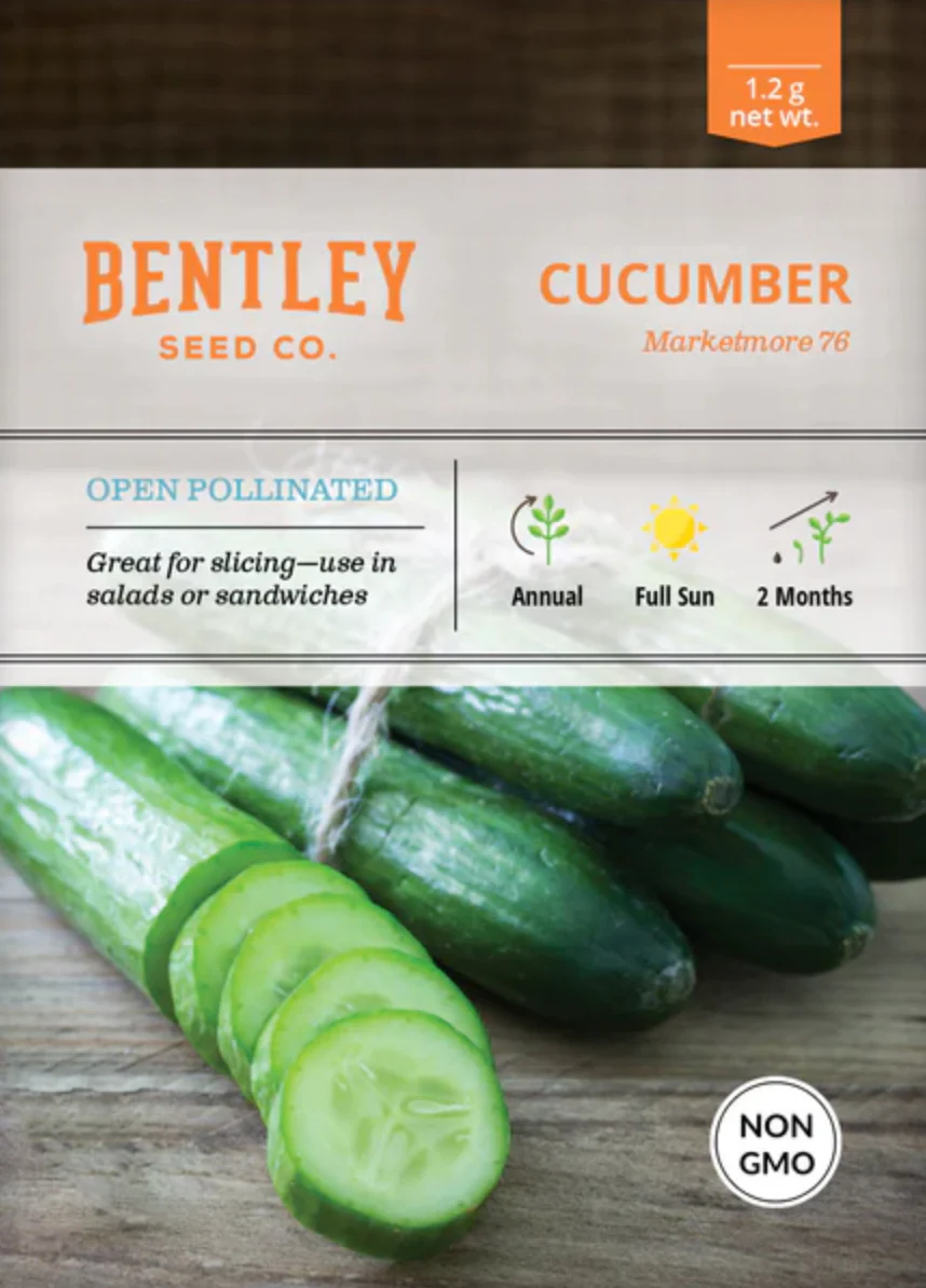 Cucumber 'Marketmore 76' - Vegetable Seeds - Image 2