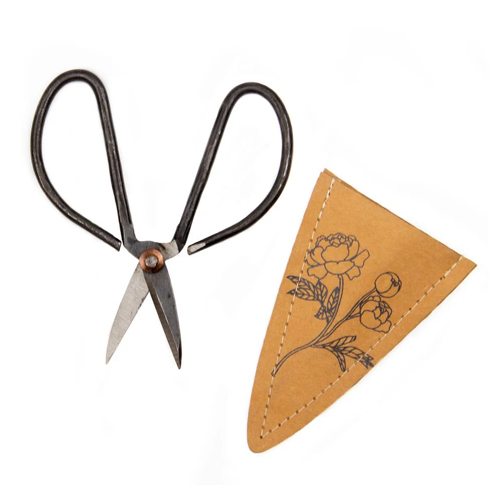 Edward Plant Scissors/ Gardening 
Plant Accessories - Image 3