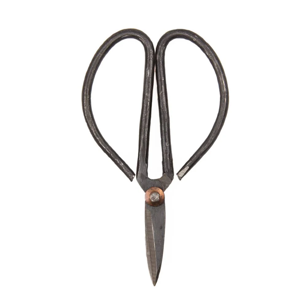 Edward Plant Scissors/ Gardening 
Plant Accessories - Image 5