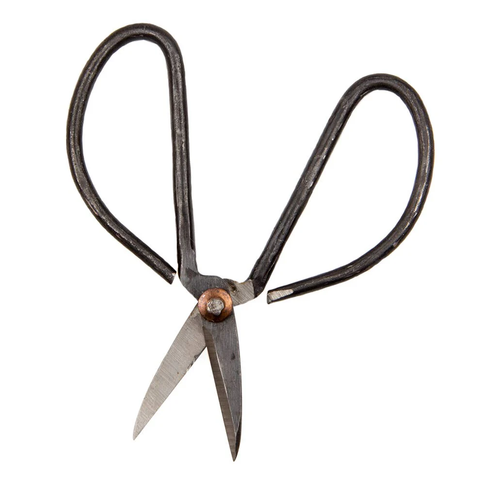 Edward Plant Scissors/ Gardening 
Plant Accessories - Image 6