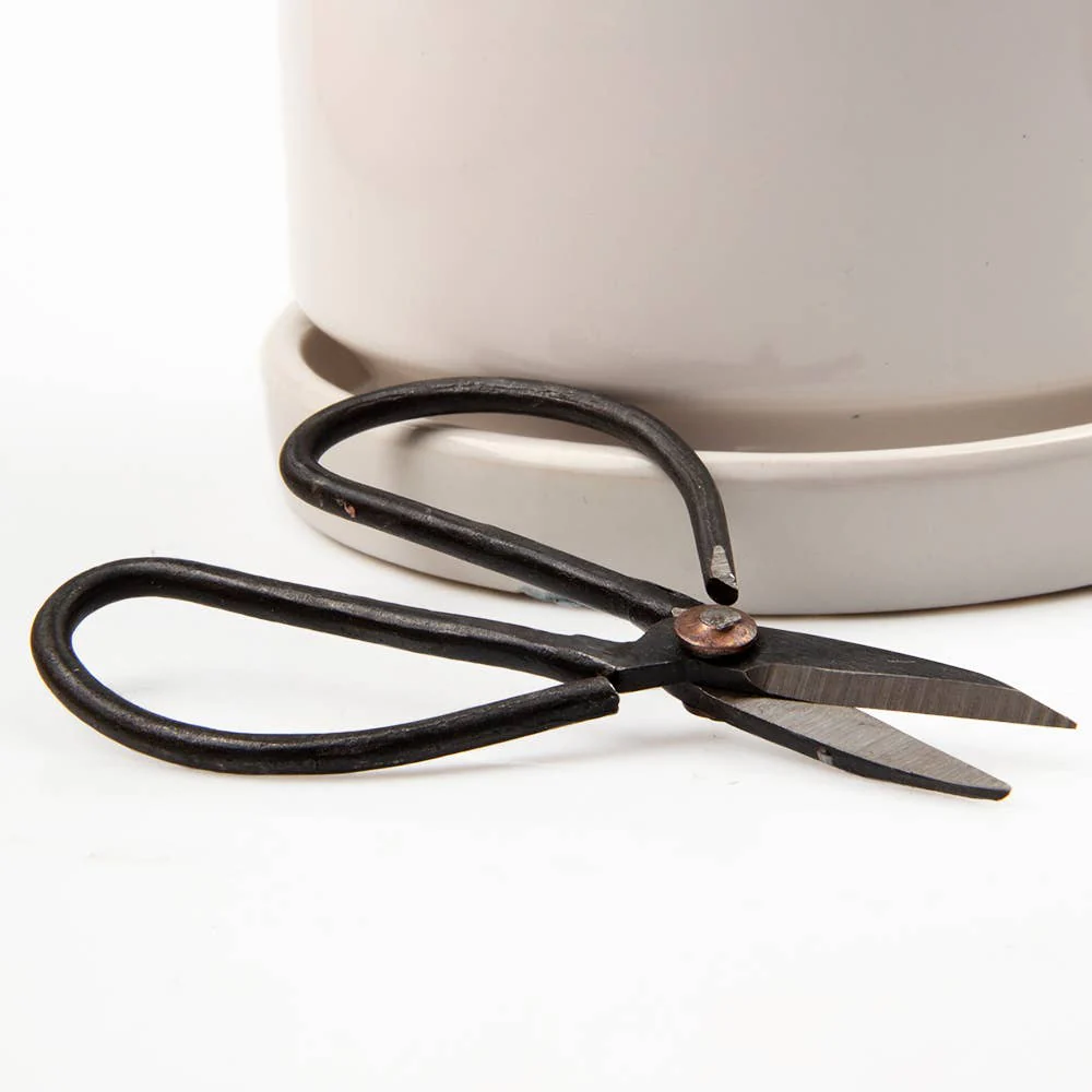 Edward Plant Scissors/ Gardening 
Plant Accessories - Image 7