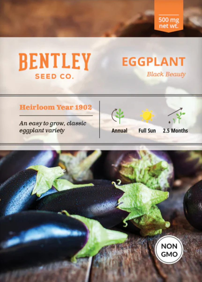 Eggplant 'Black Beauty' - Vegetable Seeds - Image 2