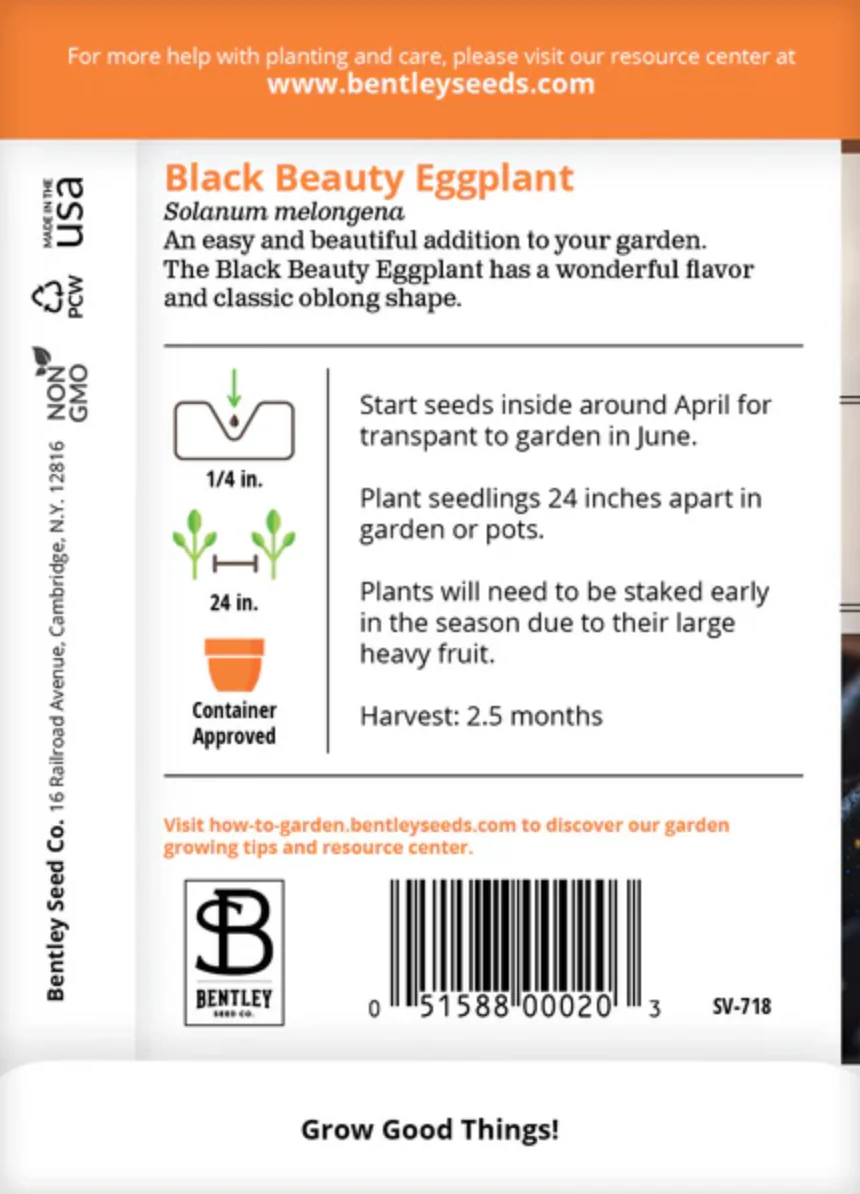 Eggplant 'Black Beauty' - Vegetable Seeds - Image 3