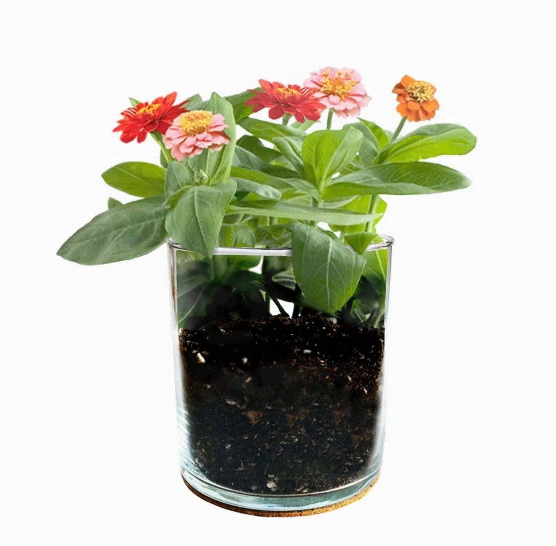 Essential | Happy Birthday Flower Garden | Best Seller - Image 2