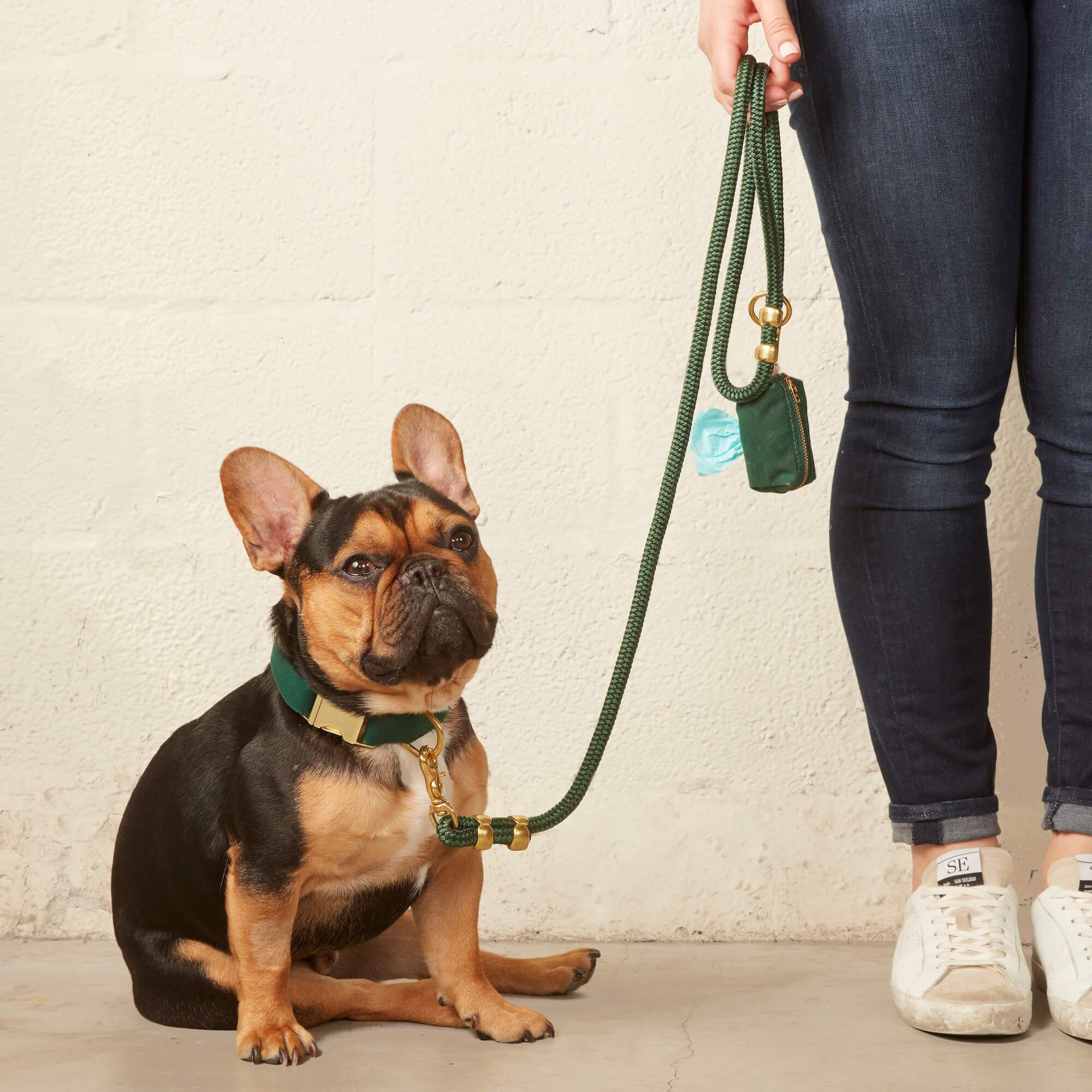 Evergreen Dog Collar - Image 5