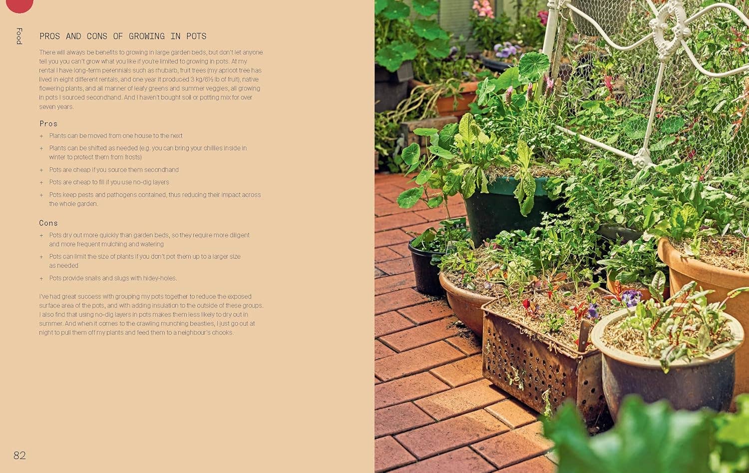 Everyday Permaculture - Image 5