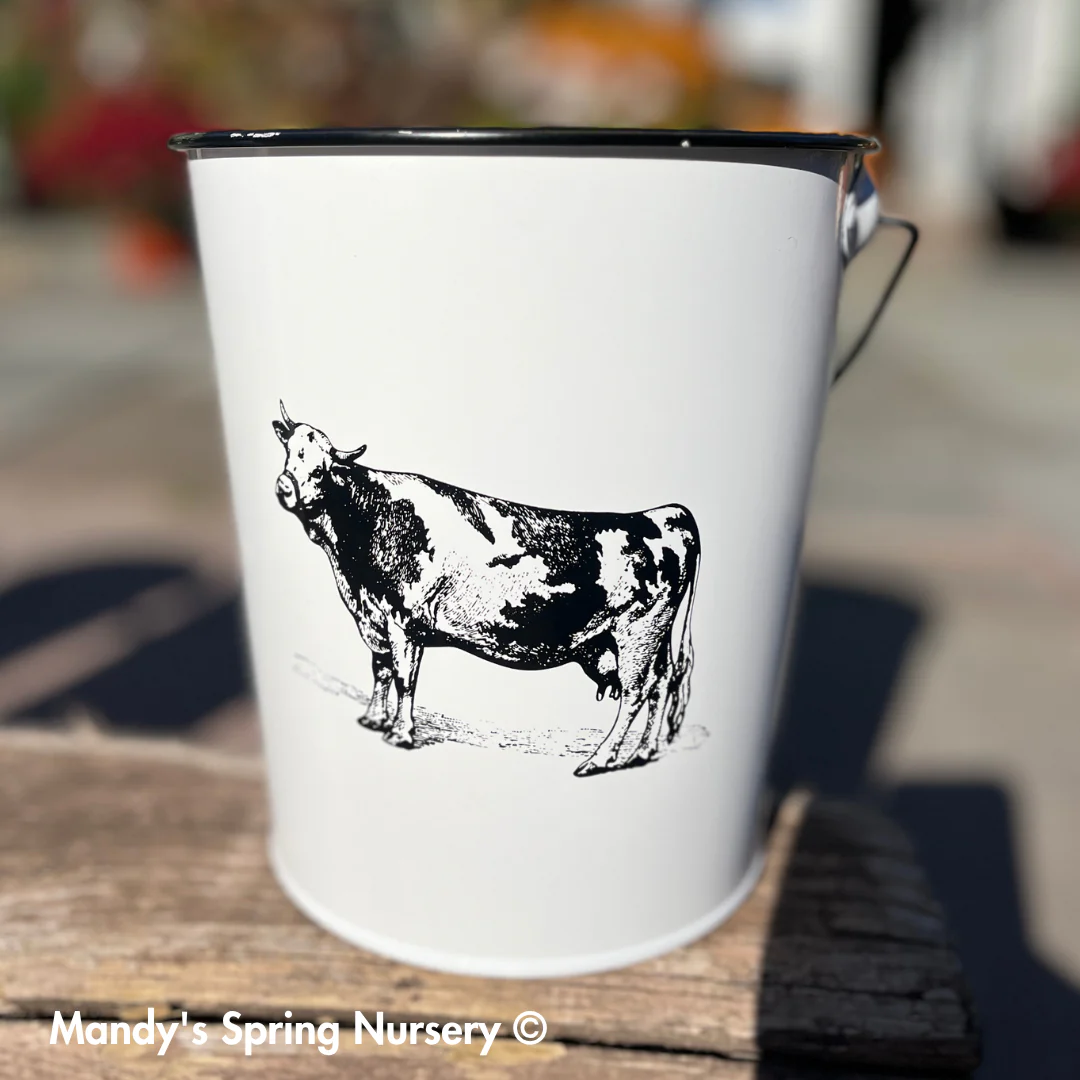 Farm Animal Bucket Planter - Image 2