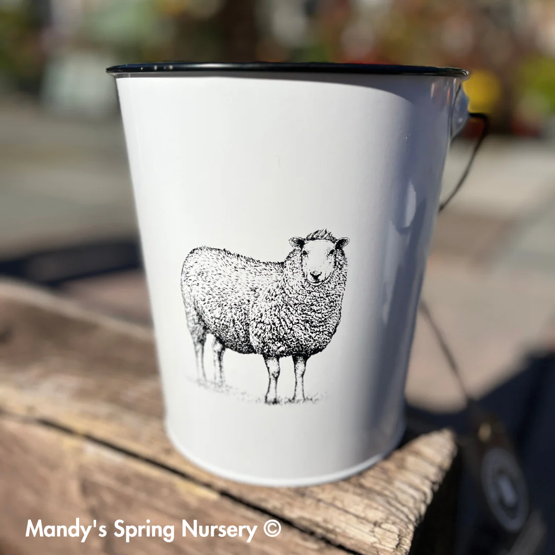 Farm Animal Bucket Planter - Image 6