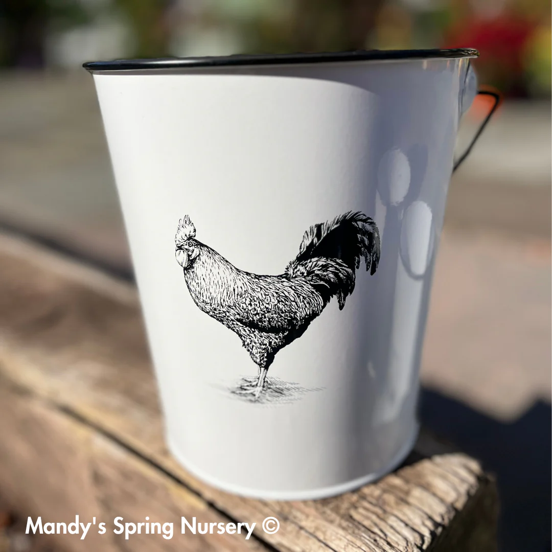 Farm Animal Bucket Planter - Image 8