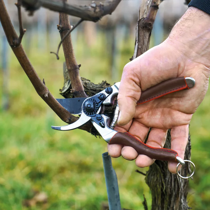 FELCO 6 Elite - One-hand pruning shear - Image 2