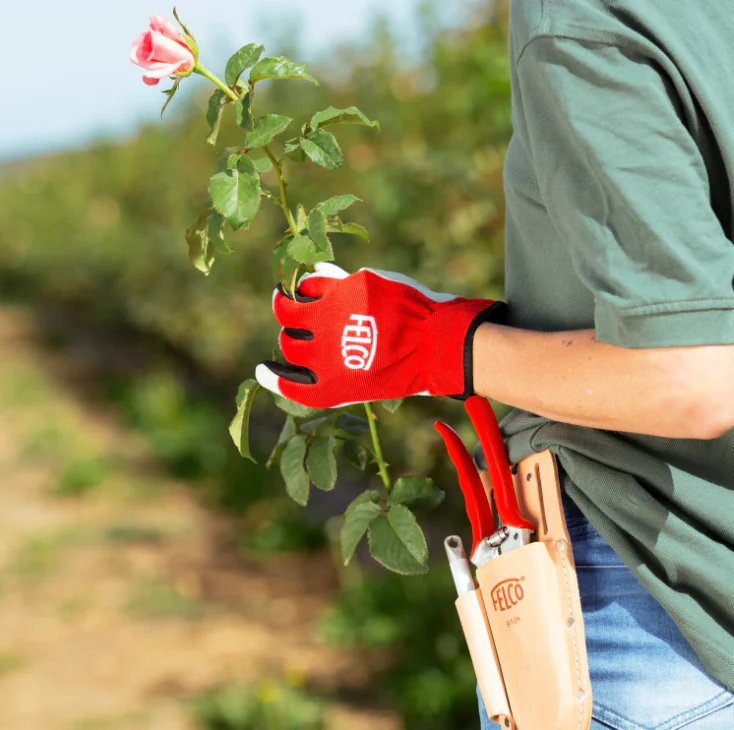 FELCO 910+ - Pruner Holster - Image 3