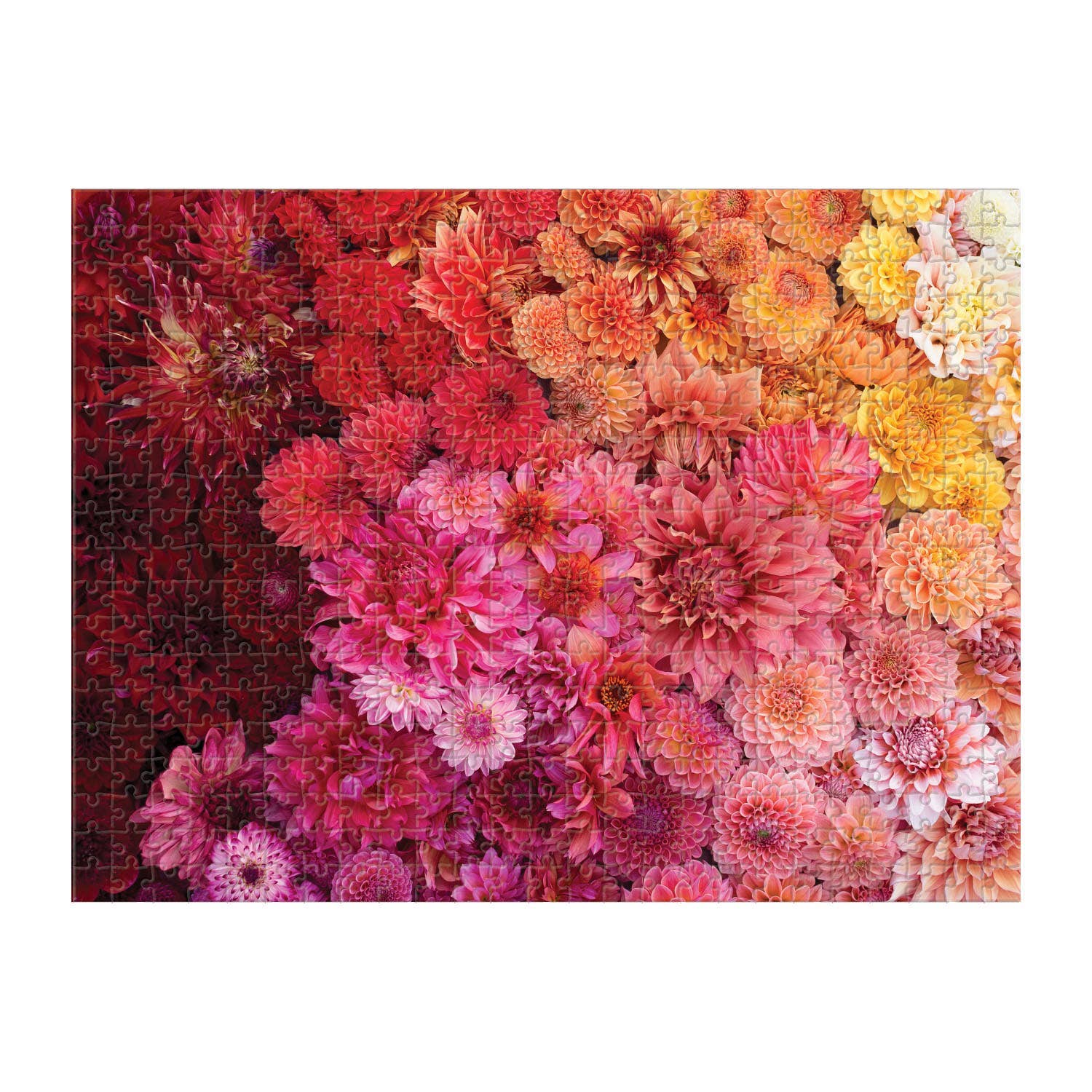 Floret Farm's Cut Flower Garden 2-Sided 500 Piece Puzzle - Image 3
