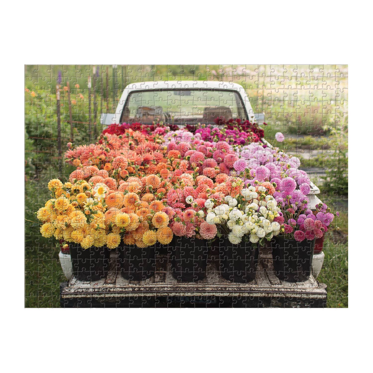 Floret Farm's Cut Flower Garden 2-Sided 500 Piece Puzzle - Image 4