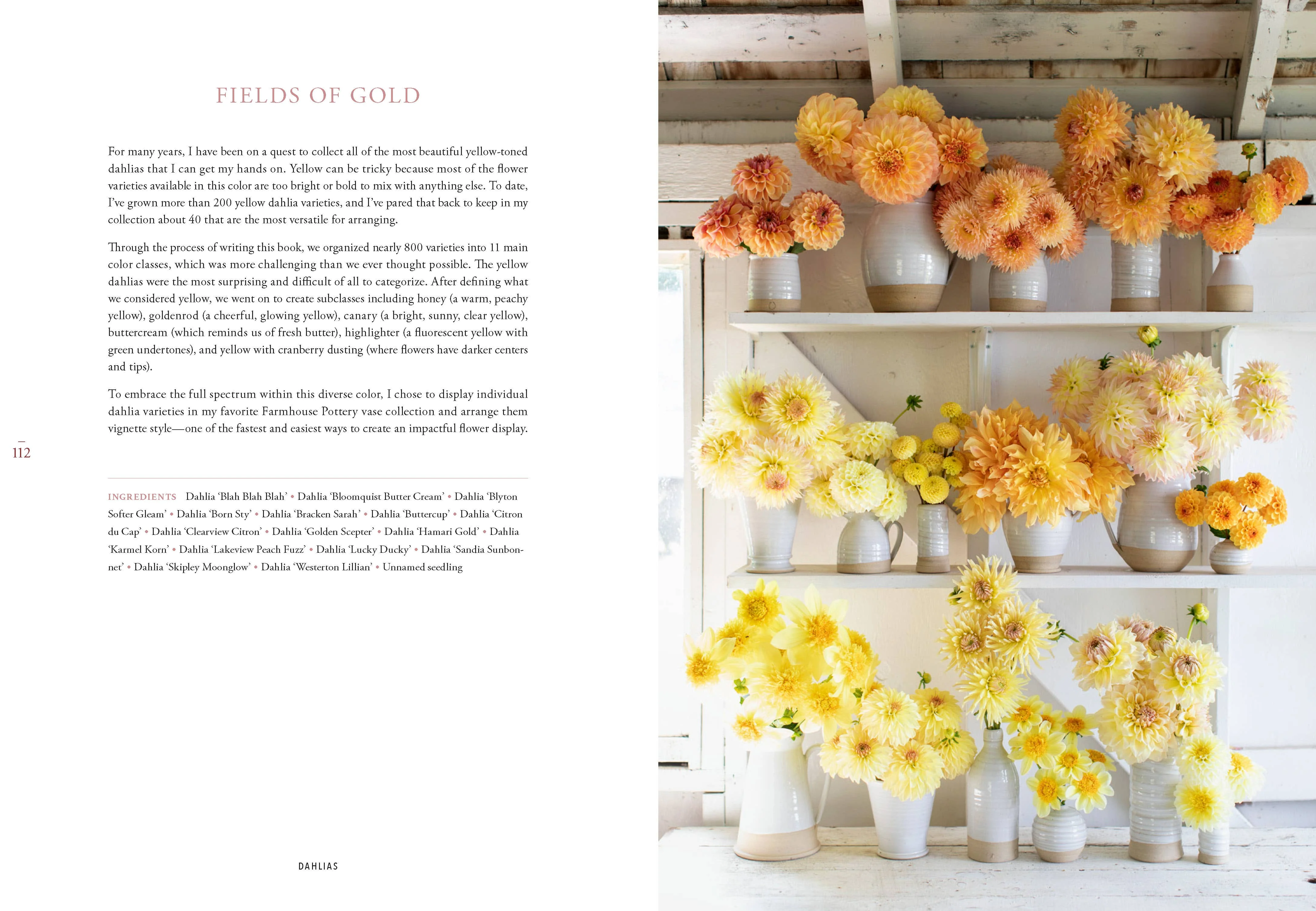 Floret Farm's Discovering Dahlias - Image 13