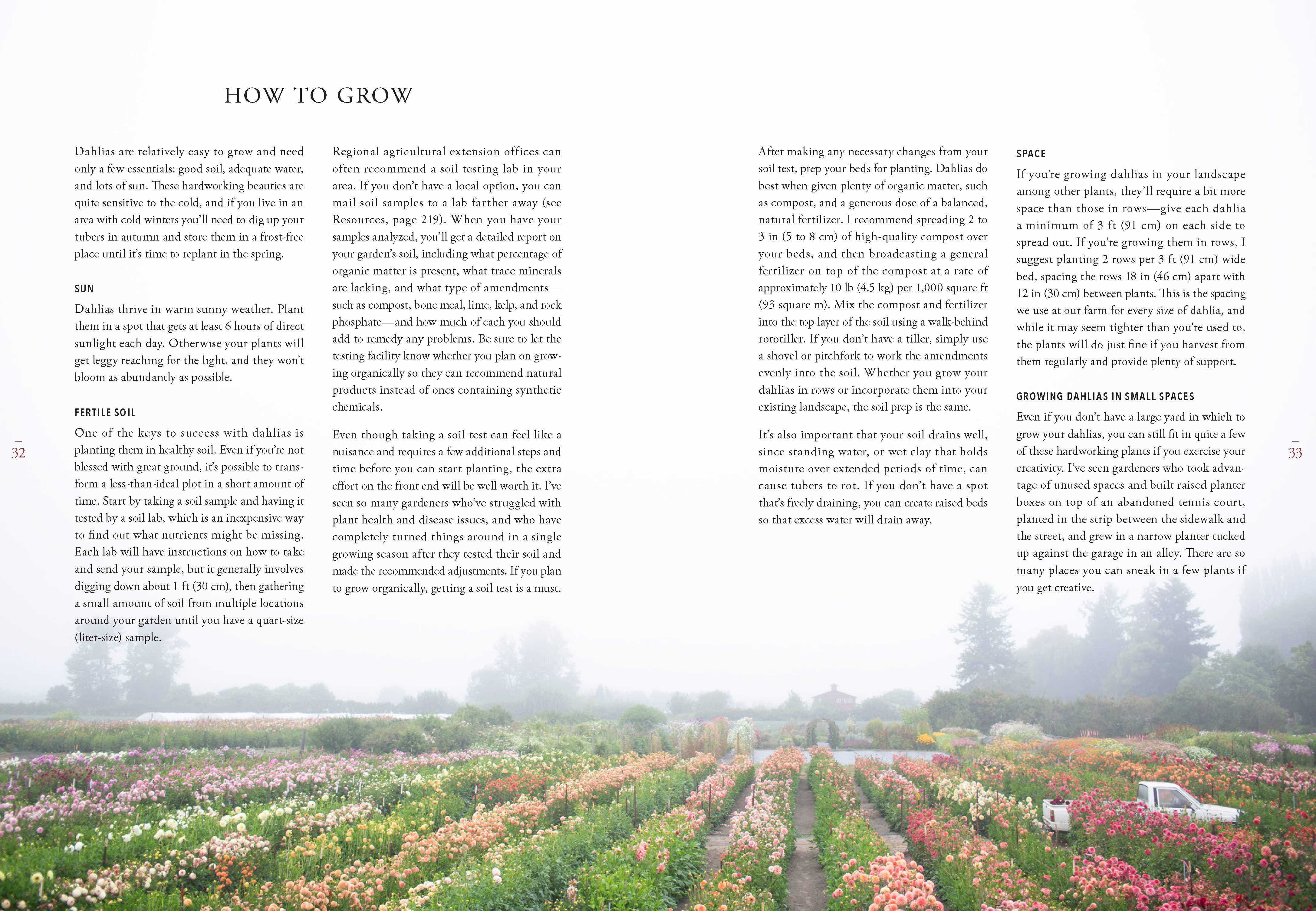 Floret Farm's Discovering Dahlias - Image 15