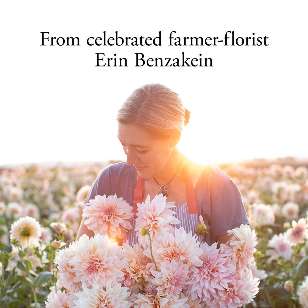 Floret Farm's Discovering Dahlias - Image 3