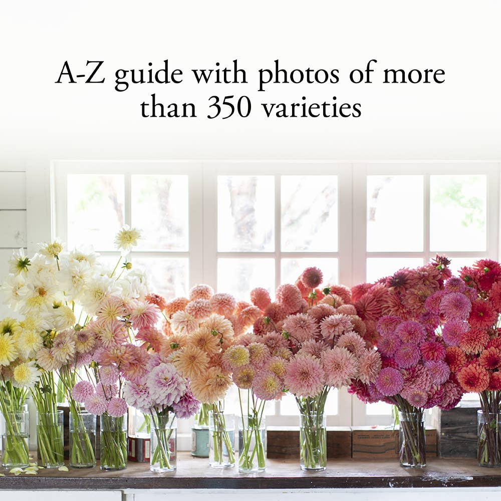 Floret Farm's Discovering Dahlias - Image 4