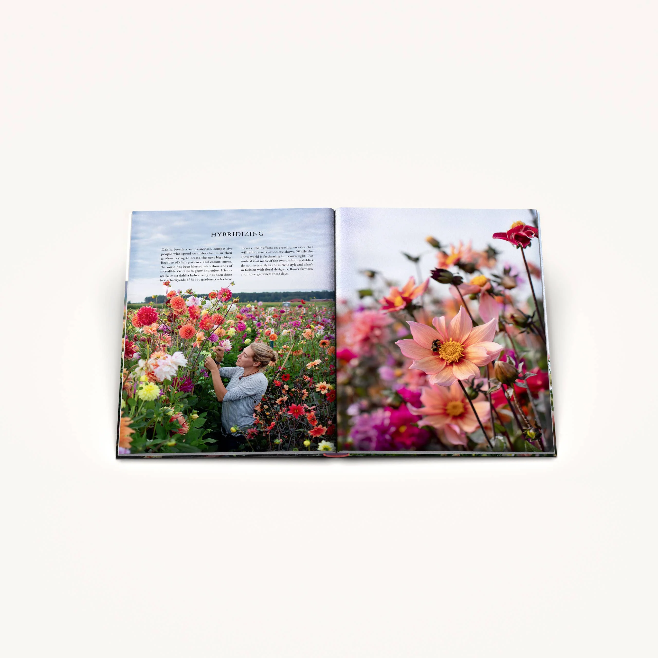 Floret Farm's Discovering Dahlias - Image 6