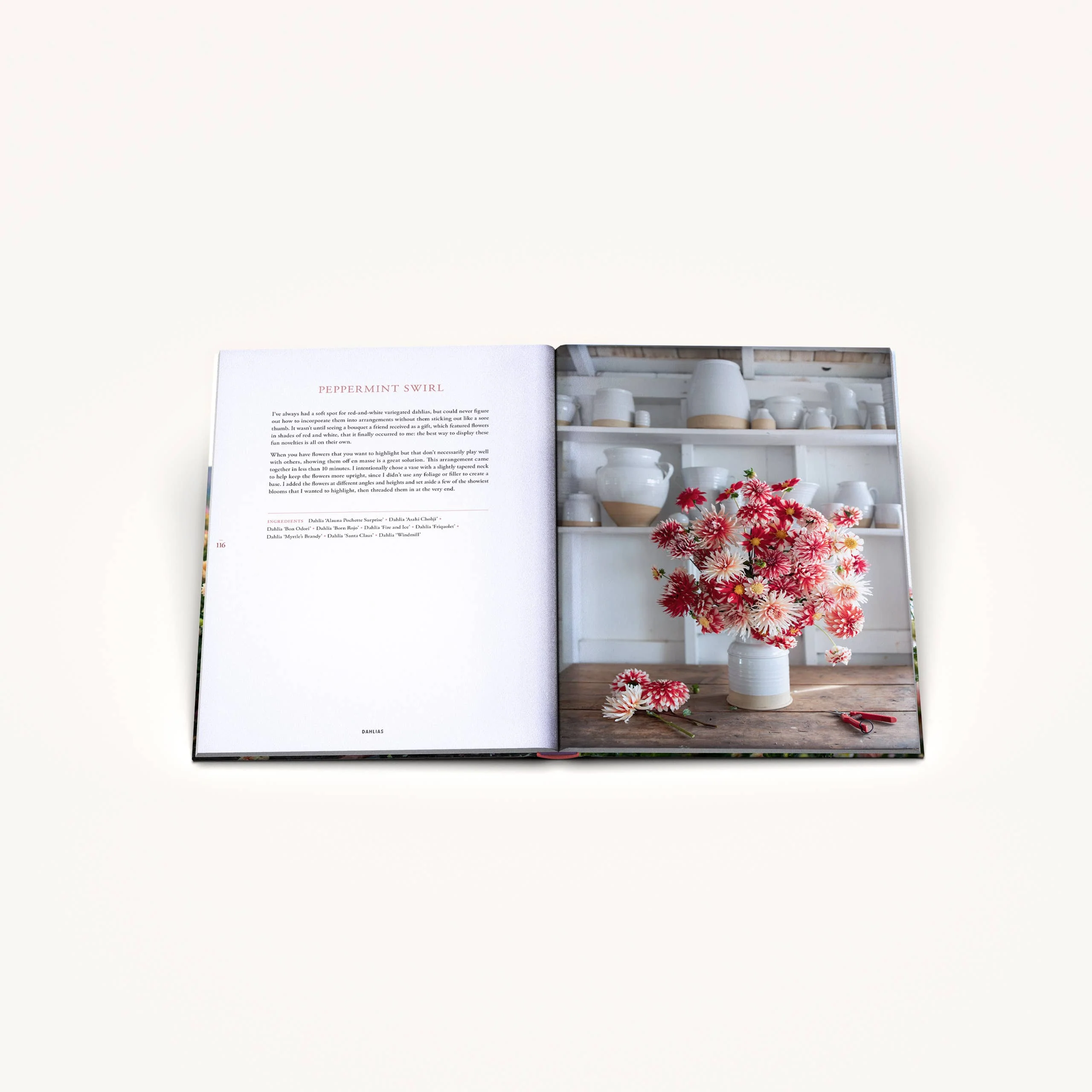 Floret Farm's Discovering Dahlias - Image 7