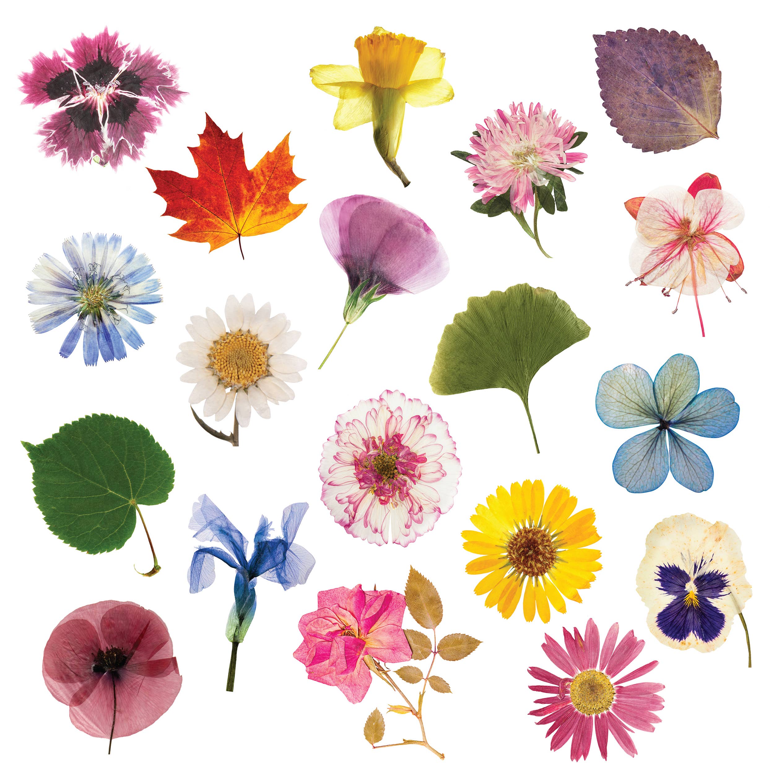 Flower Press - Simple & Effective DIY - Includes All Parts - Image 6
