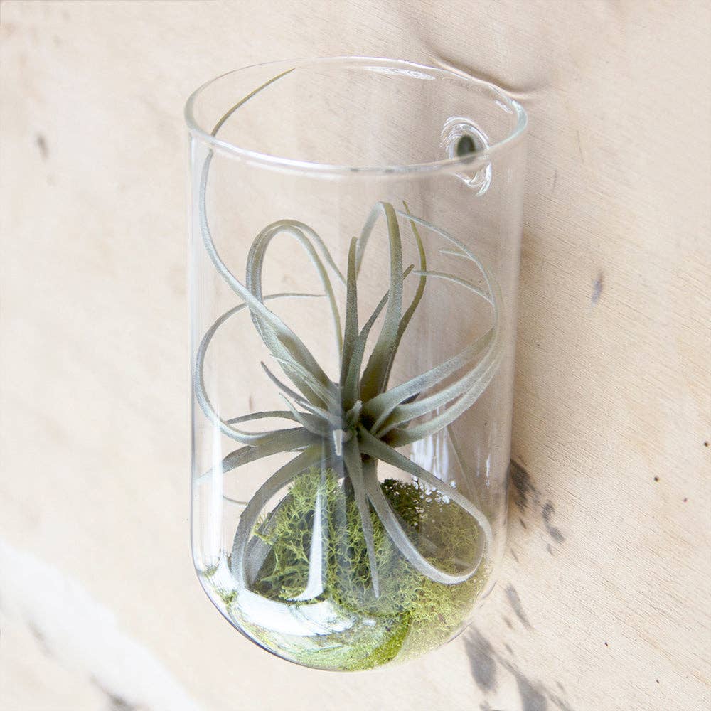 Flower Vase Clear Glass With Hole For Wall Mounting - Image 7