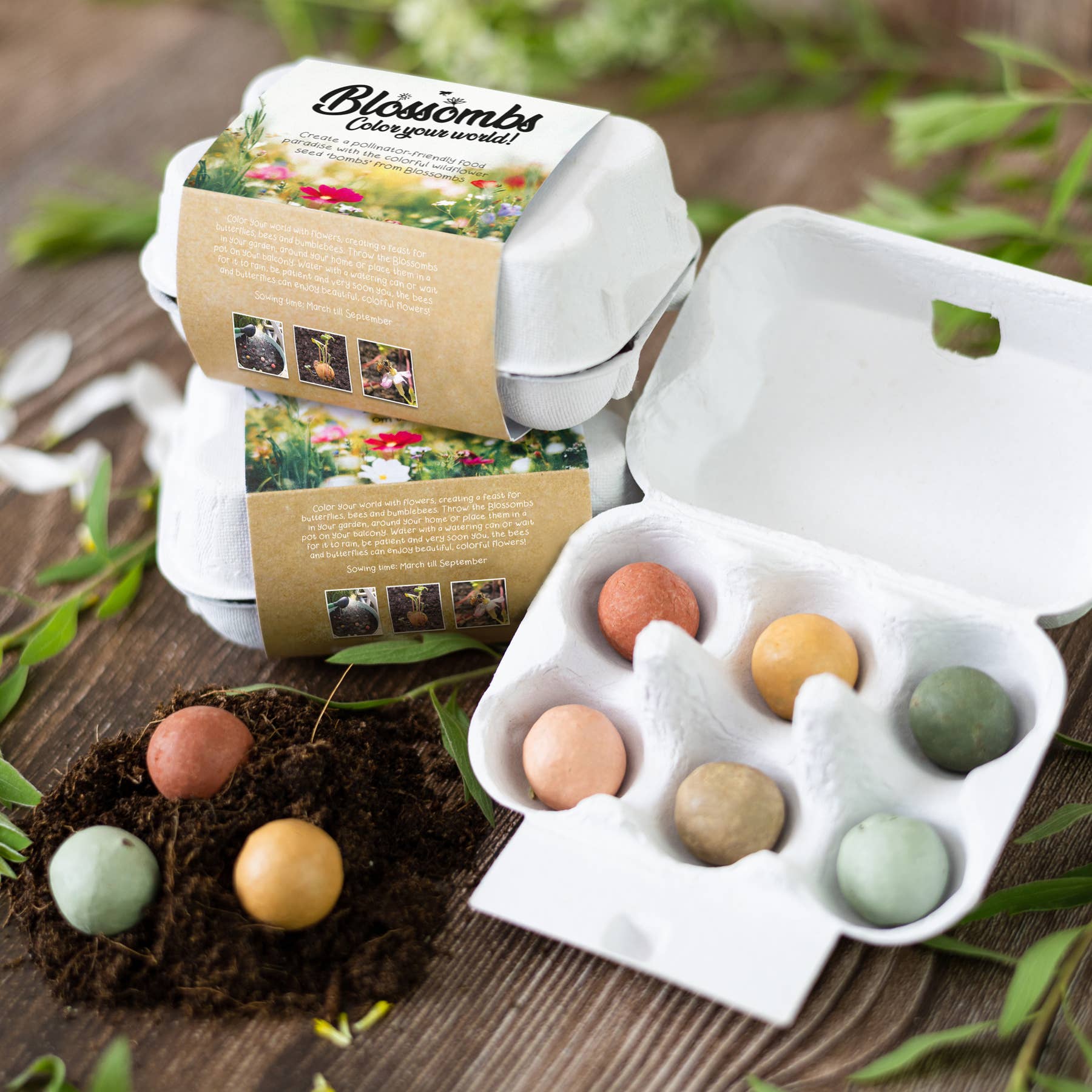 Flowers For You Egg Carton – Spring Wildflower Gift - Image 2