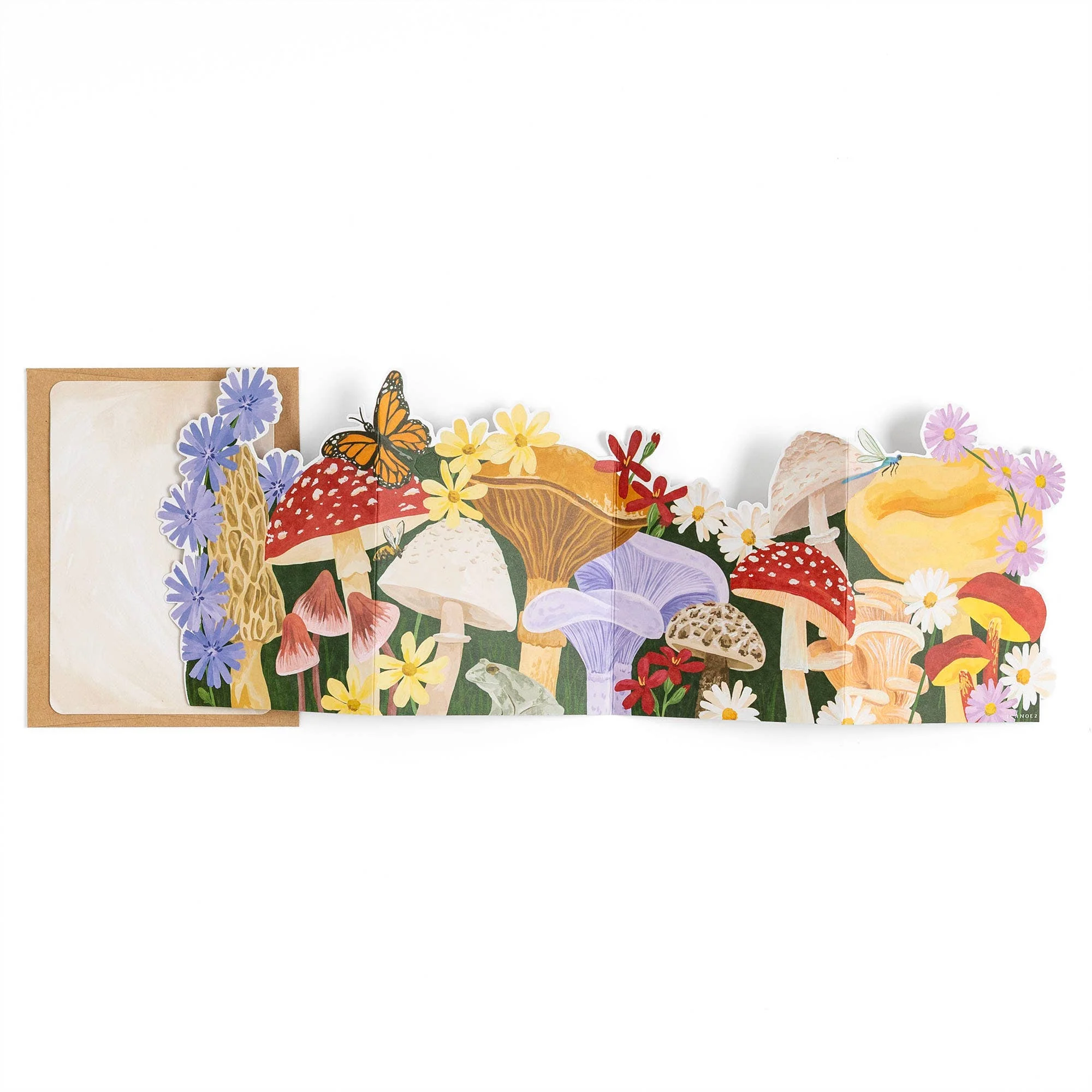 Forest Floor Mushrooms Accordion Greeting Card - Image 2