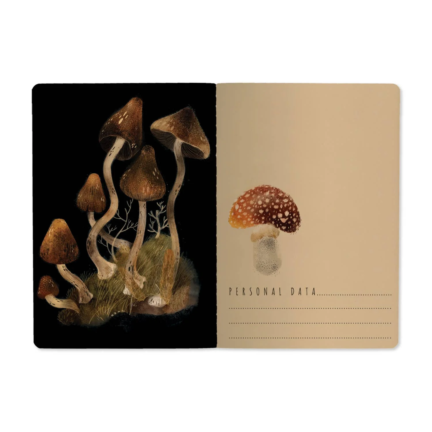 Forest Mushrooms - Image 2