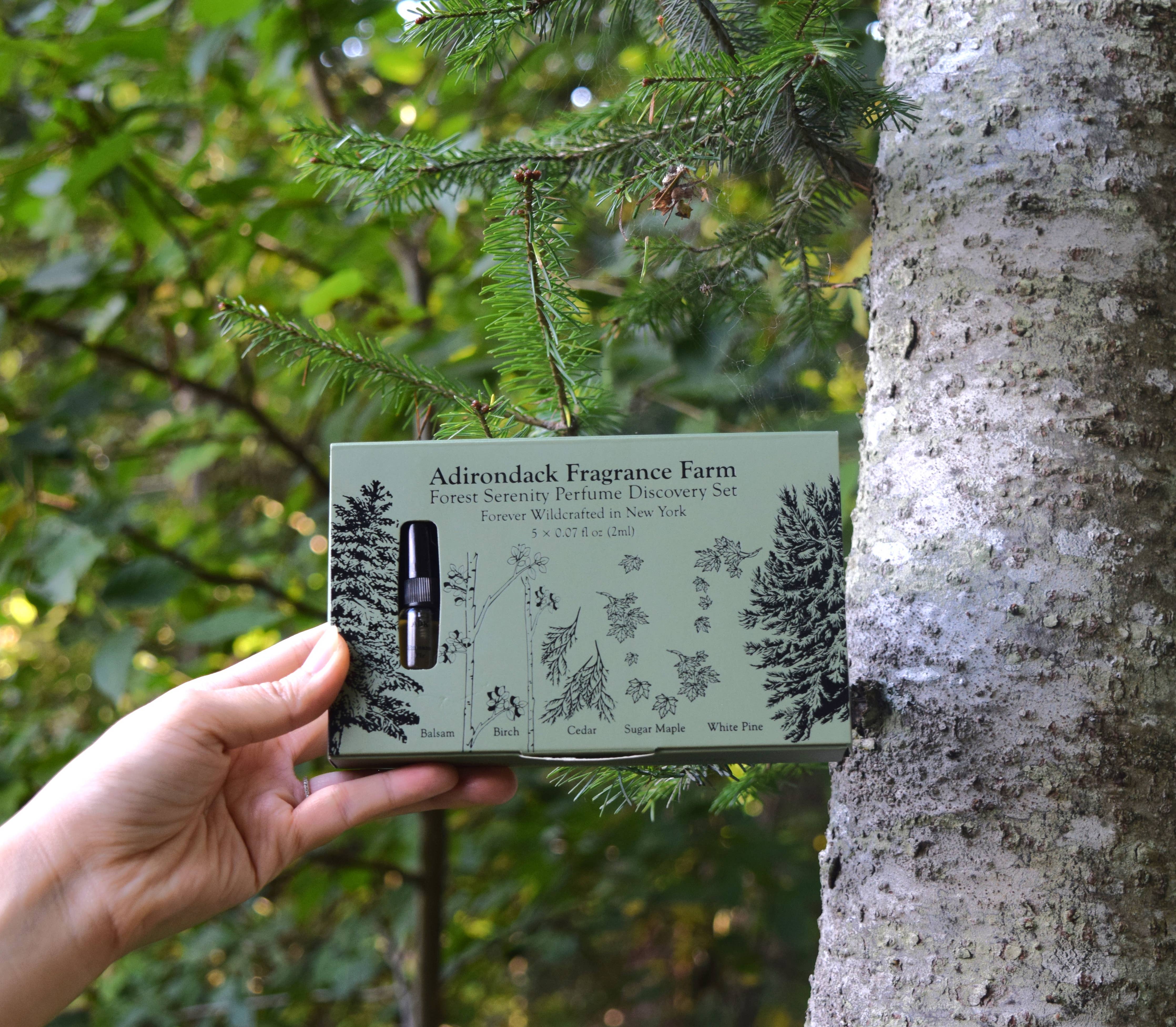 Forest Serenity Perfume Spray Discovery Set 0.07 oz x 5 - Image 4